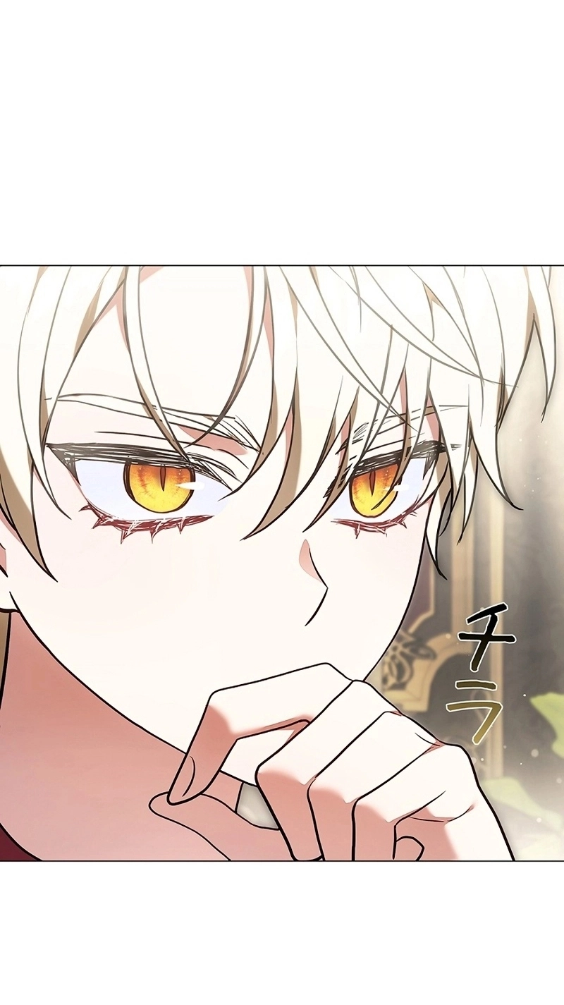 Read ‏The Lady Is a Stalker AR Manga Online