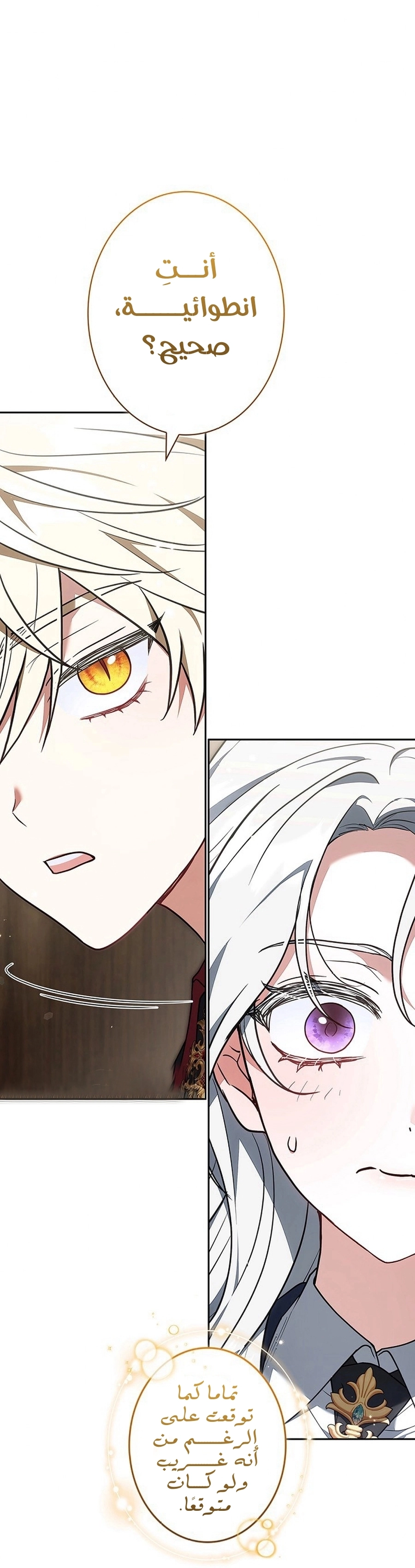 Read ‏The Lady Is a Stalker AR Manga Online