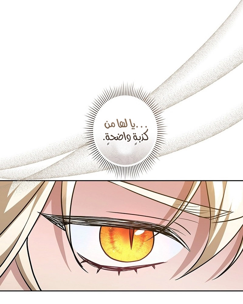Read ‏The Lady Is a Stalker AR Manga Online