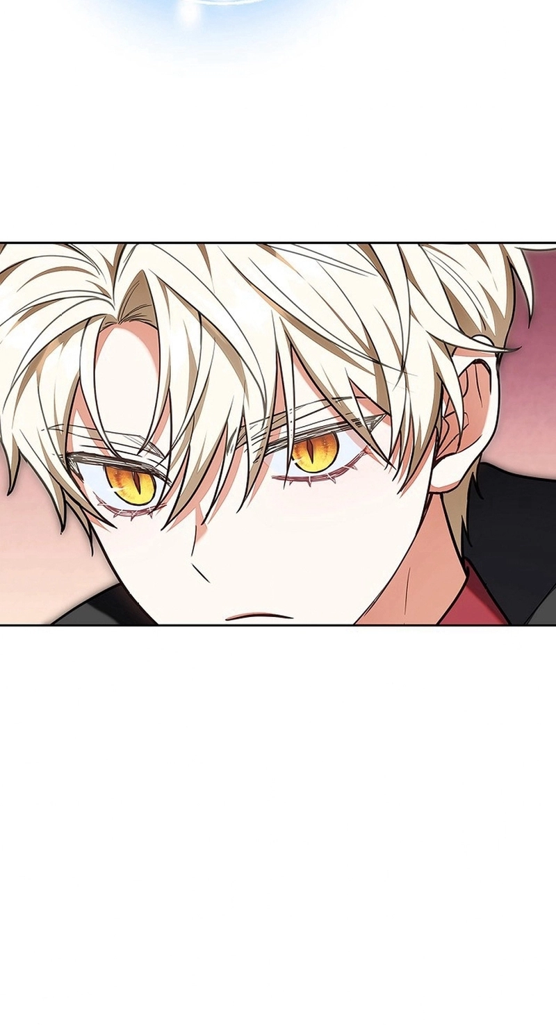 Read ‏The Lady Is a Stalker AR Manga Online