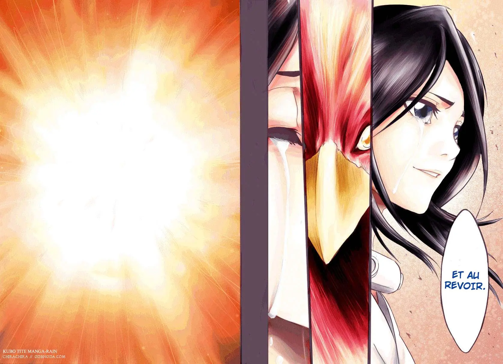 Read Bleach AR Manga Online