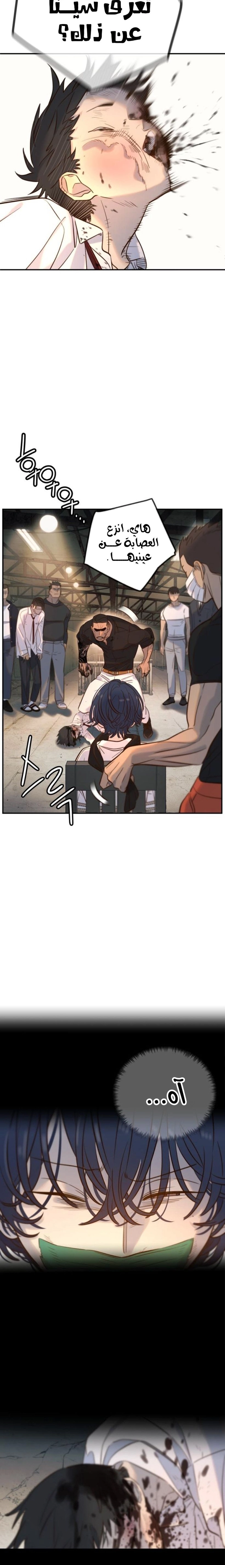 Read Everyone Loves Her AR Manga Online