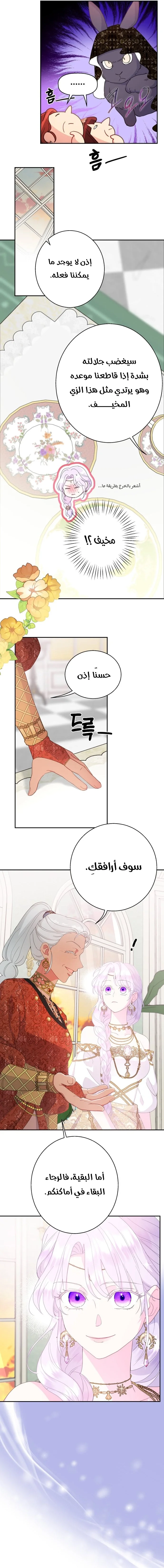 Read Forget My Husband, I’ll Go Make Money AR Manga Online