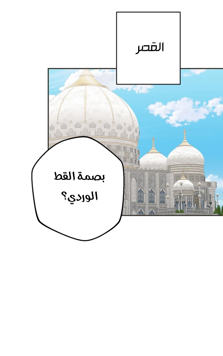 Read Forget My Husband, I’ll Go Make Money AR Manga Online