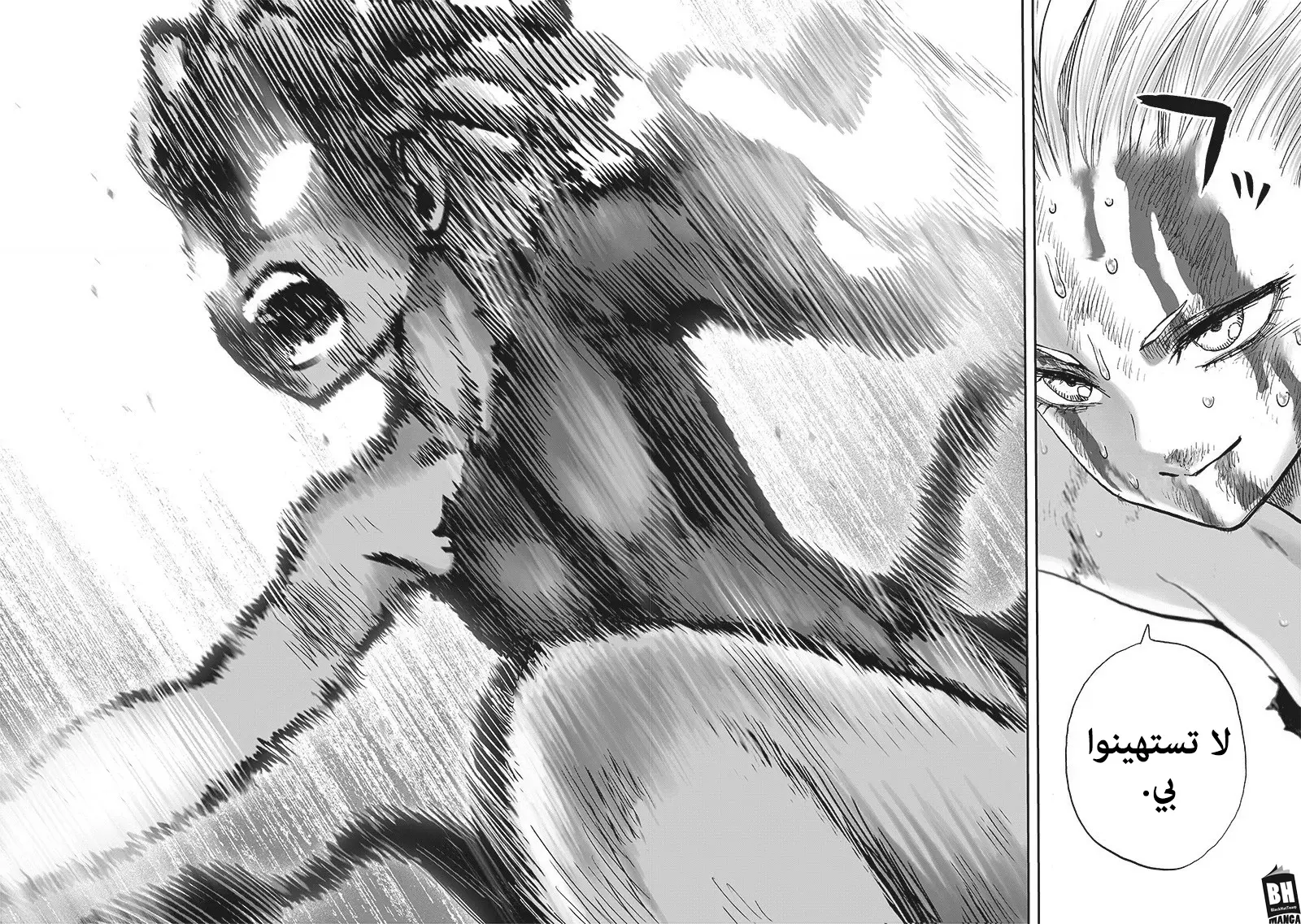 Read One Punch Man AR Manga Online