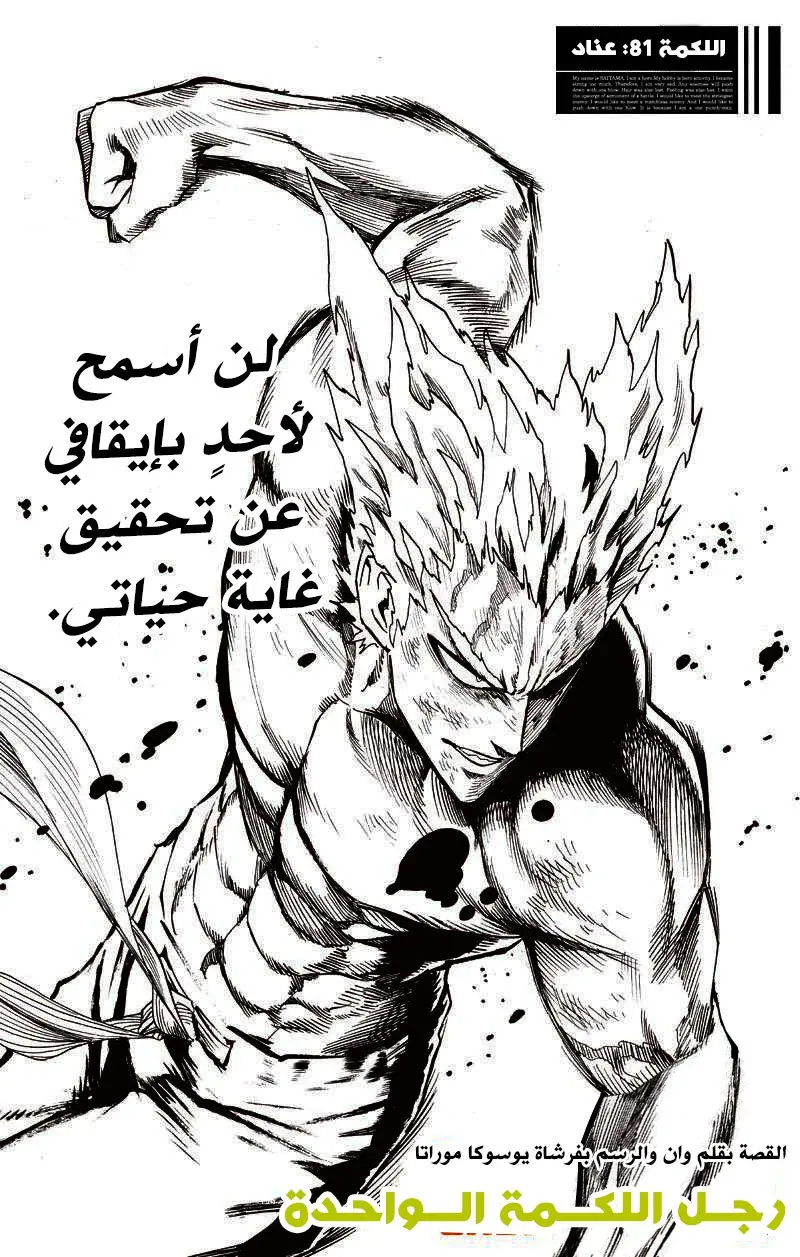 Read One Punch Man AR Manga Online