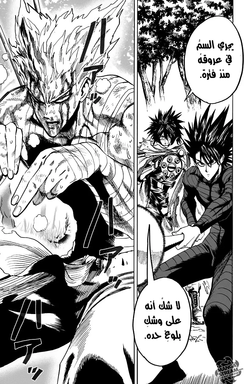 Read One Punch Man AR Manga Online