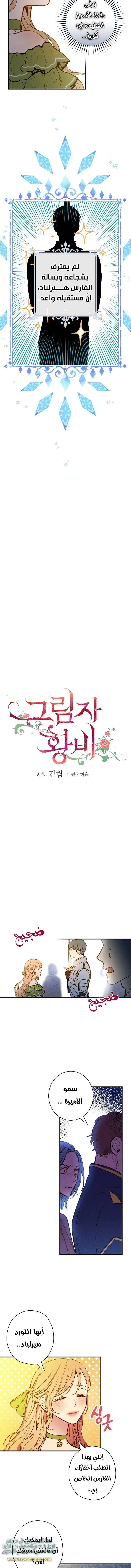 Read Shadow Queen AR Manga Online