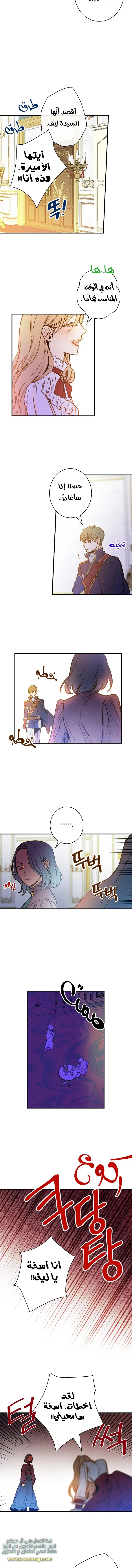 Read Shadow Queen AR Manga Online