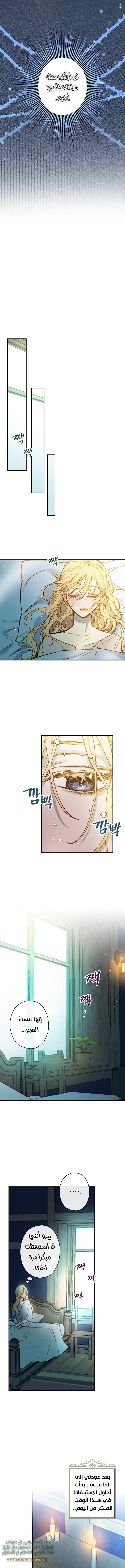 Read Shadow Queen AR Manga Online
