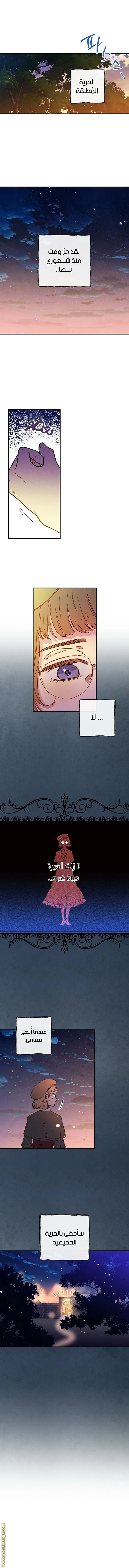 Read Shadow Queen AR Manga Online