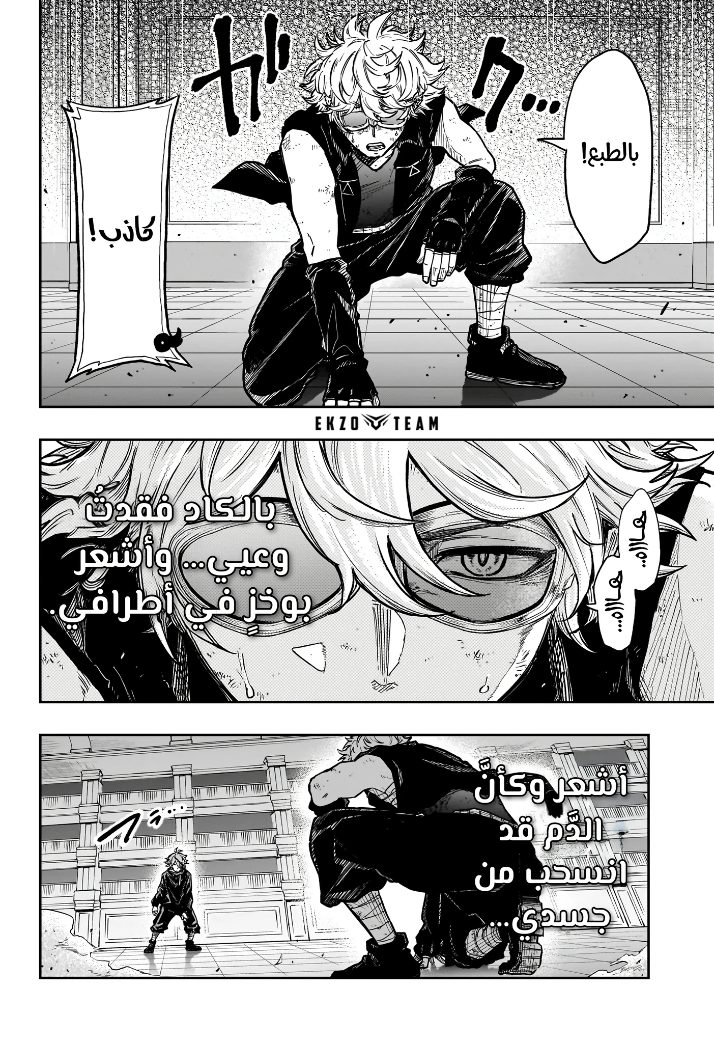 Read Shinobi Goto AR Manga Online