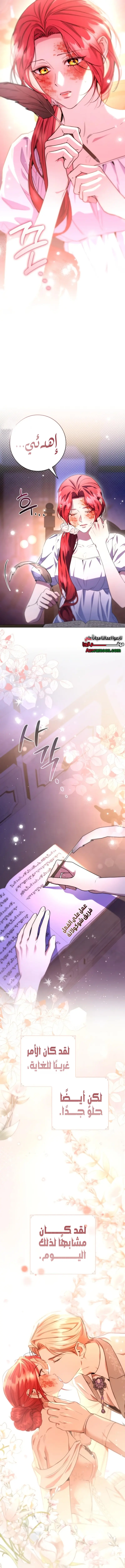 Read To the Perfect Duke AR Manga Online