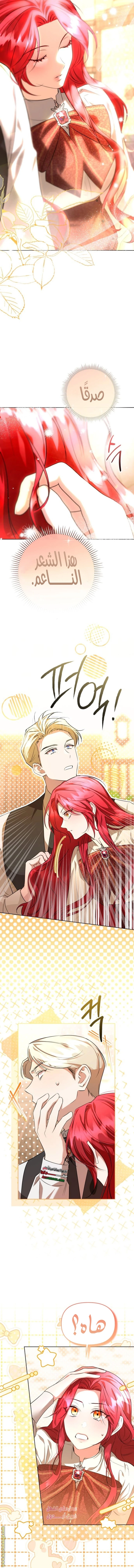 Read To the Perfect Duke AR Manga Online