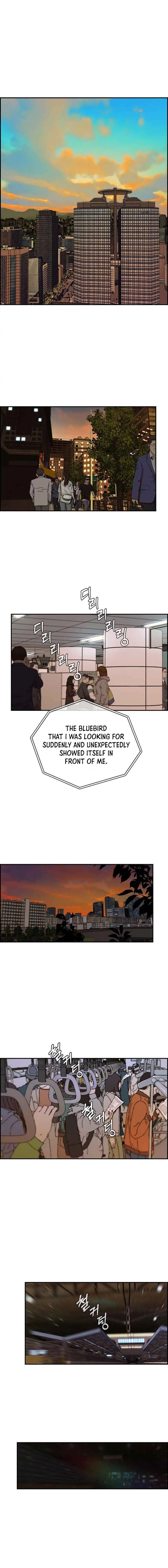 Read A Man's Man Manga Online
