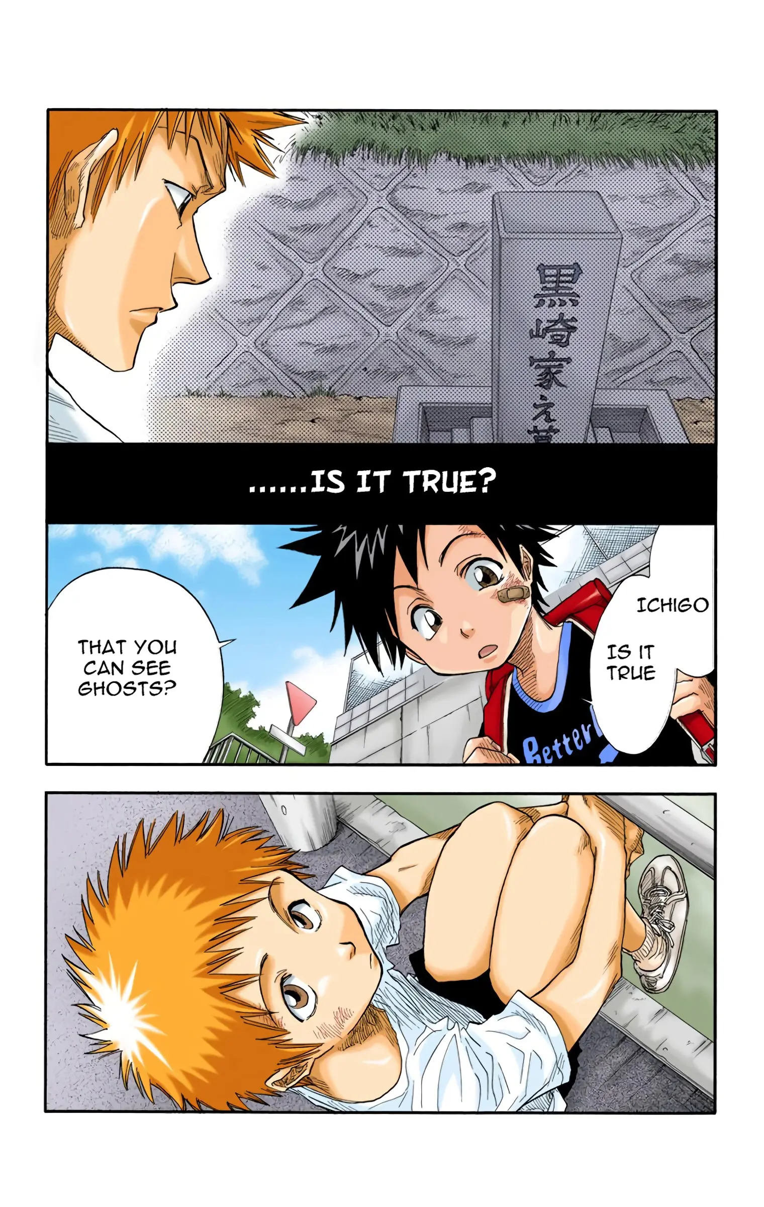 Read Bleach (Colored) Manga Online