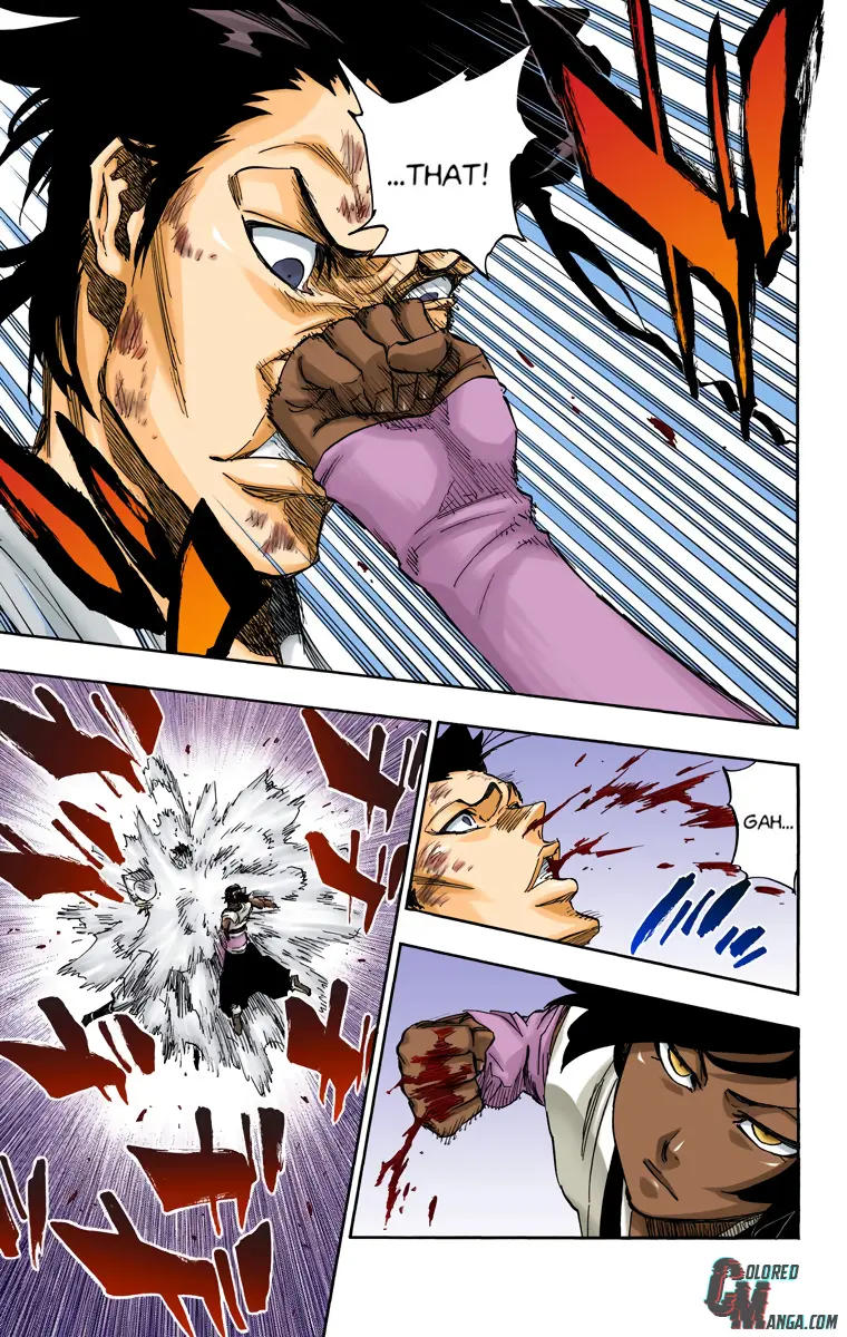 Read Bleach (Colored) Manga Online