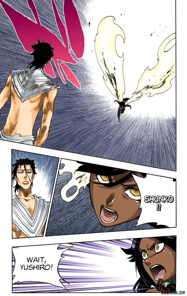 Read Bleach (Colored) Manga Online