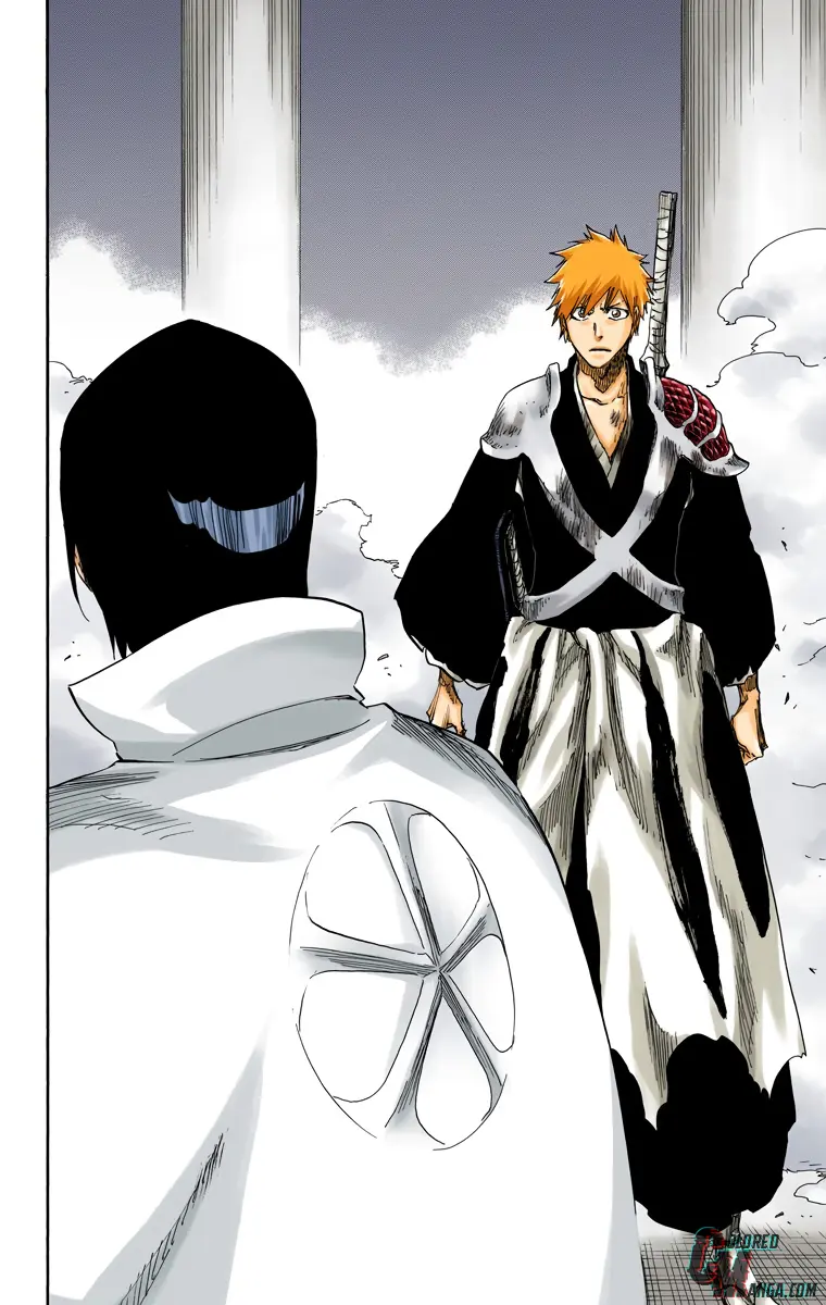 Read Bleach (Colored) Manga Online