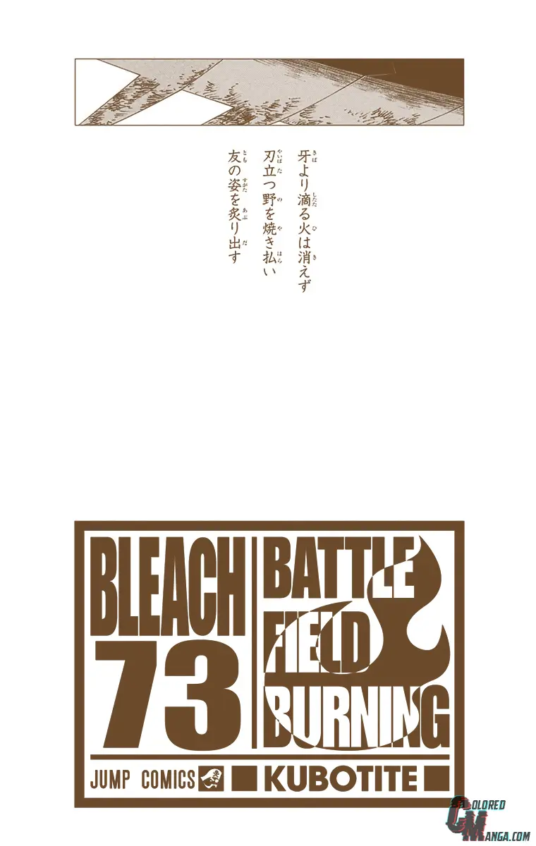 Read Bleach (Colored) Manga Online