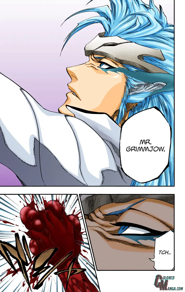Read Bleach (Colored) Manga Online