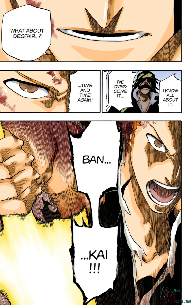 Read Bleach (Colored) Manga Online