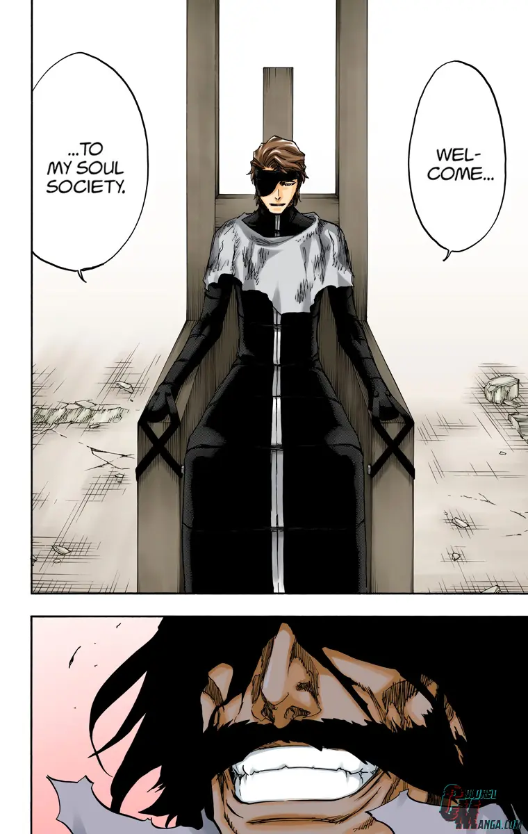 Read Bleach (Colored) Manga Online