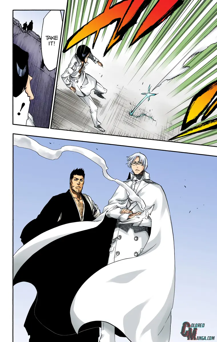 Read Bleach (Colored) Manga Online