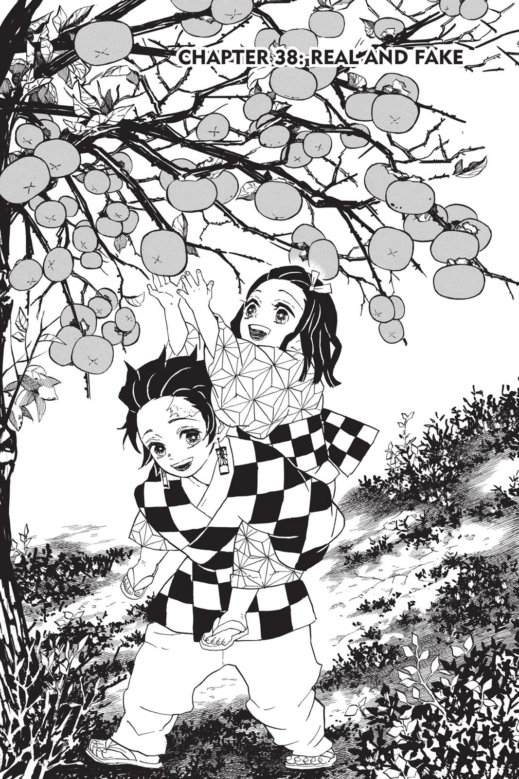 Read Demon Slayer Kimetsu no Yaiba Manga Online