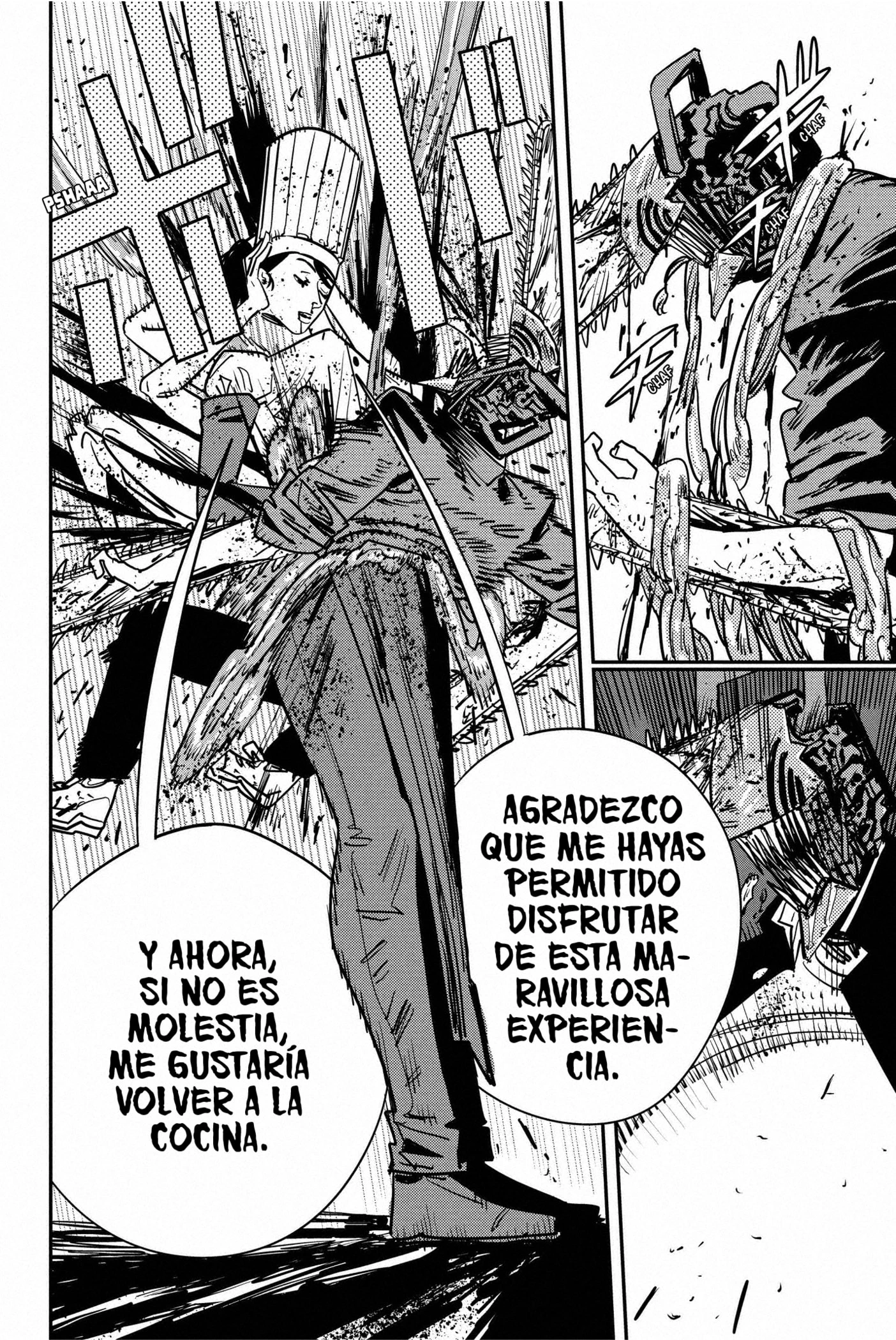 Read Chainsaw Man ES Manga Online