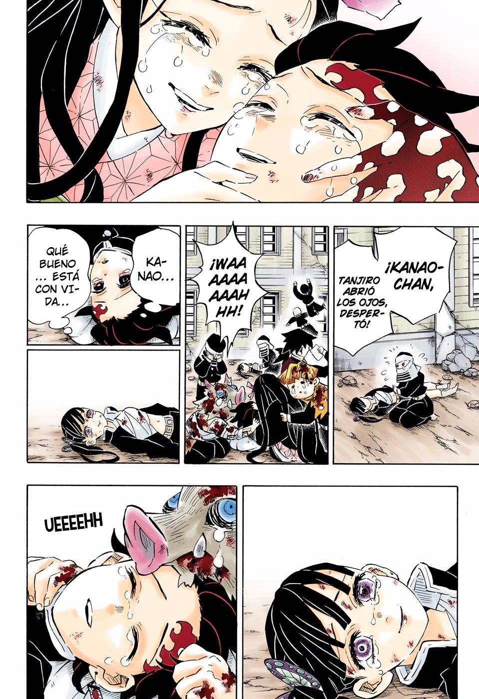 Read Demon Slayer Kimetsu no Yaiba ES Manga Online