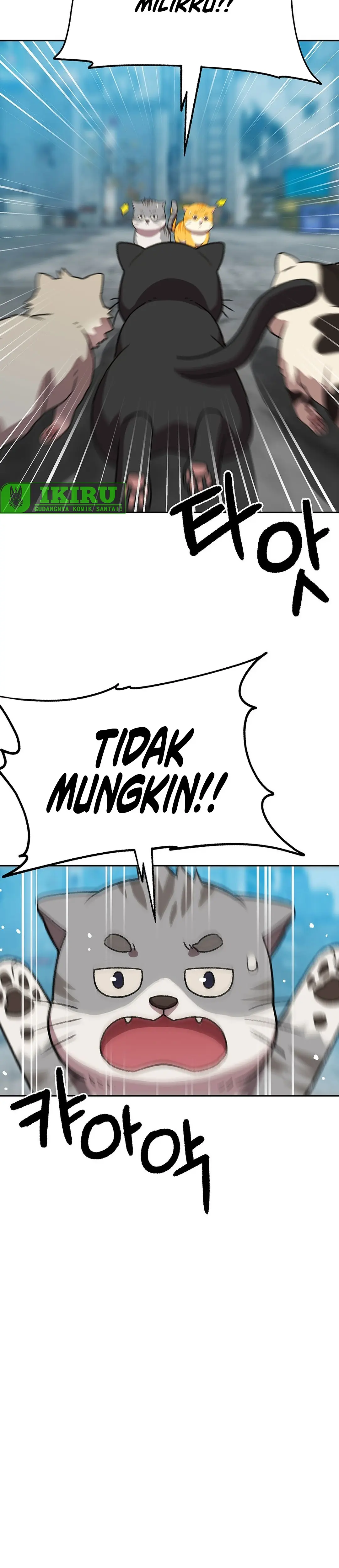 Read Penjaga Jembatan Pelangi ID Manga Online