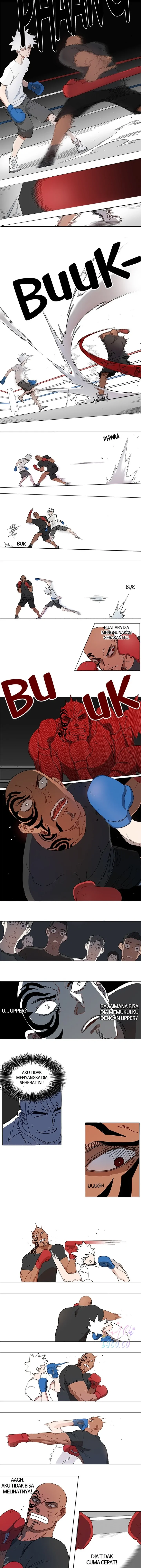 Read The Boxer ID Manga Online