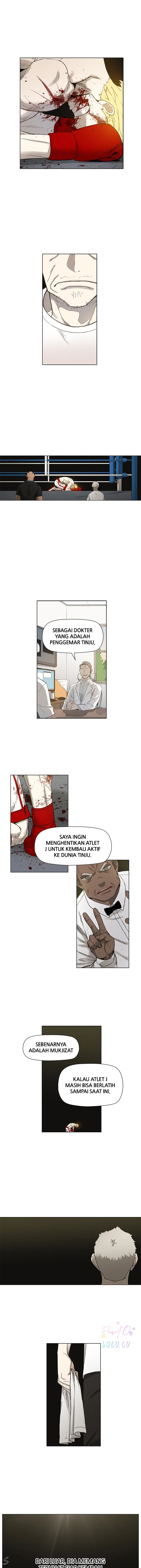 Read The Boxer ID Manga Online
