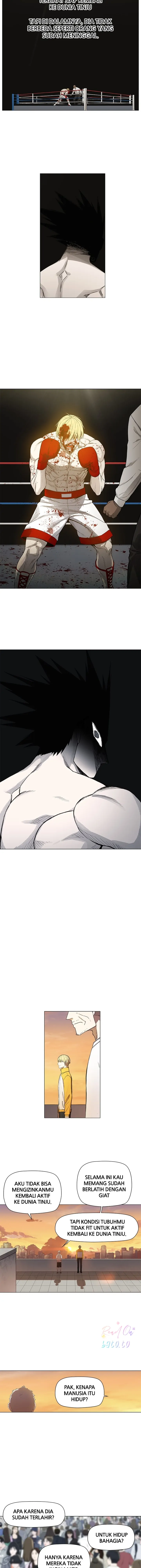 Read The Boxer ID Manga Online