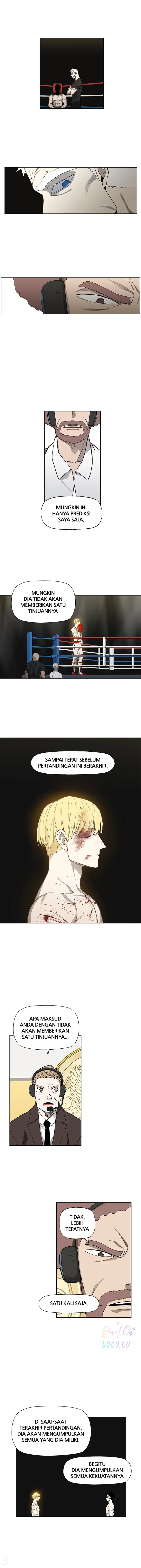 Read The Boxer ID Manga Online