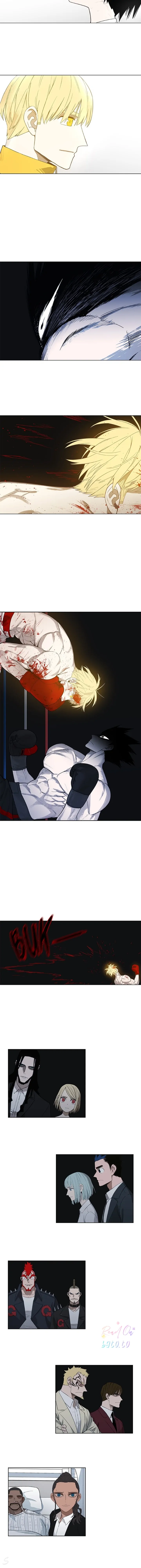 Read The Boxer ID Manga Online