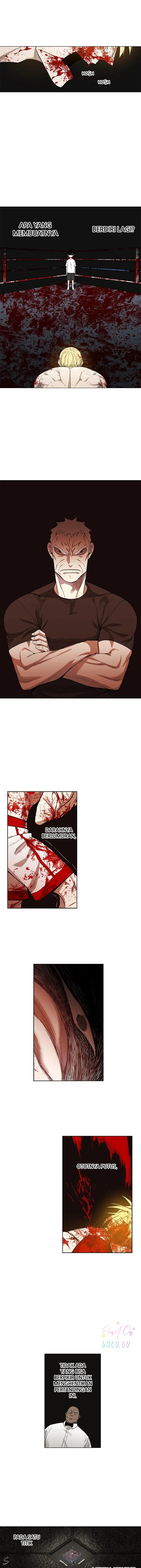 Read The Boxer ID Manga Online