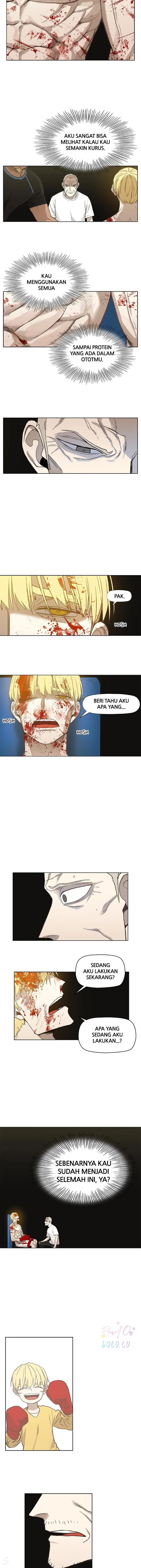 Read The Boxer ID Manga Online