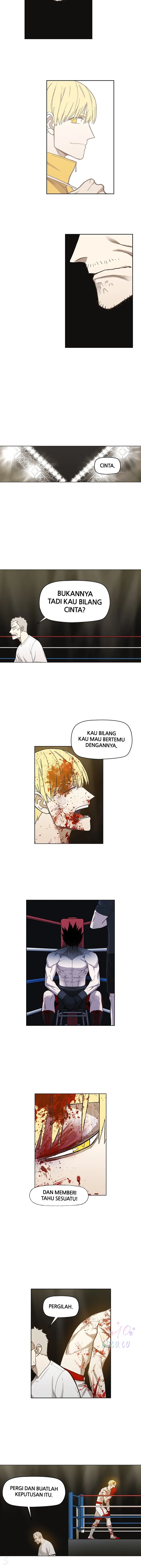 Read The Boxer ID Manga Online