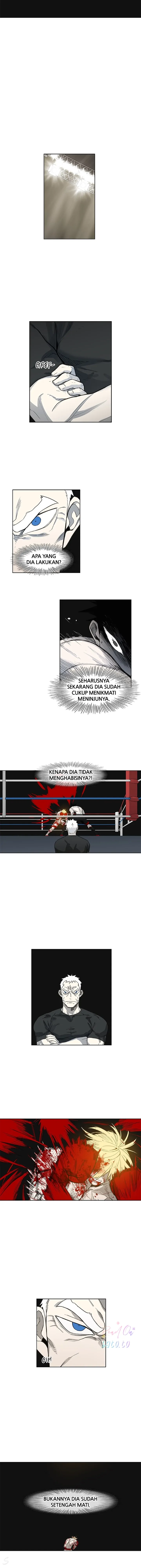 Read The Boxer ID Manga Online