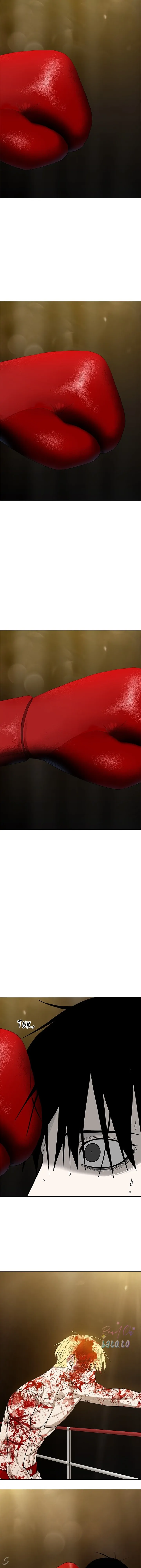 Read The Boxer ID Manga Online