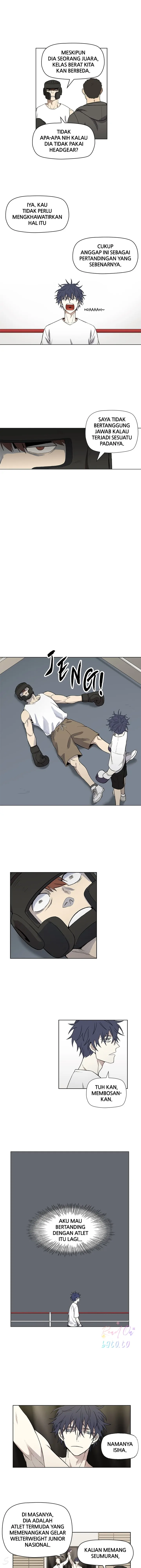 Read The Boxer ID Manga Online