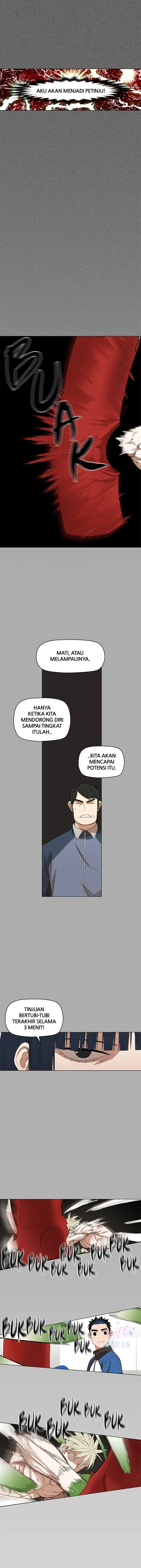 Read The Boxer ID Manga Online