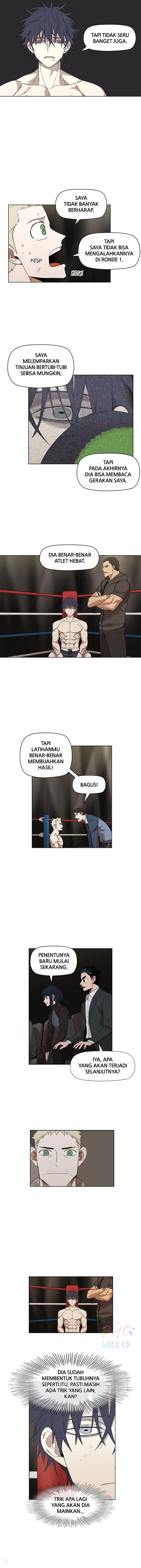 Read The Boxer ID Manga Online