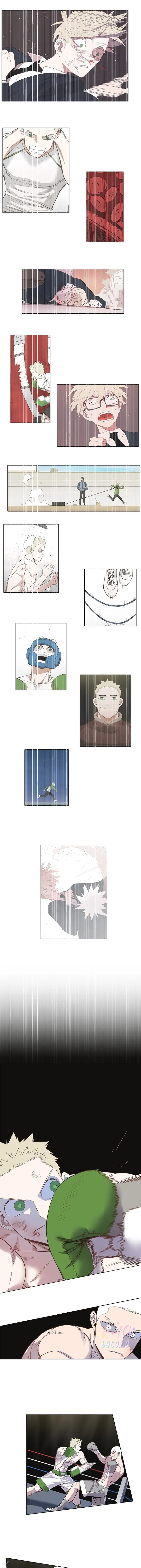 Read The Boxer ID Manga Online