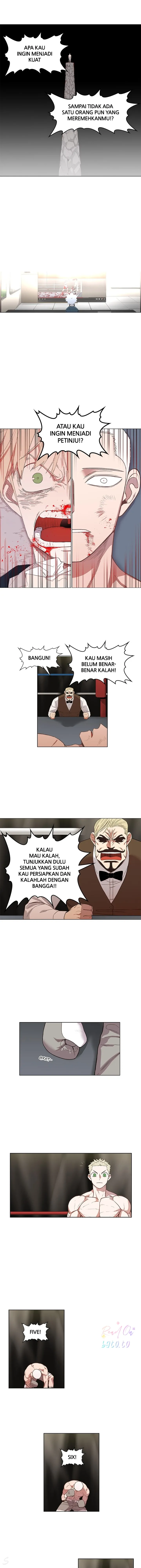 Read The Boxer ID Manga Online