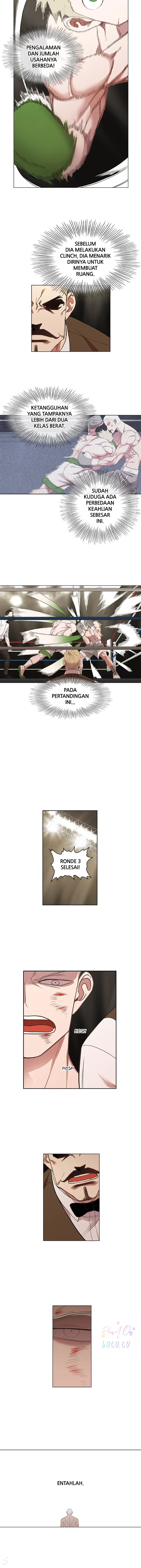 Read The Boxer ID Manga Online