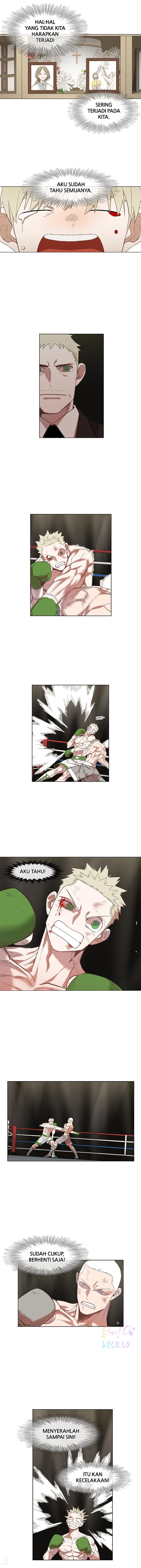 Read The Boxer ID Manga Online