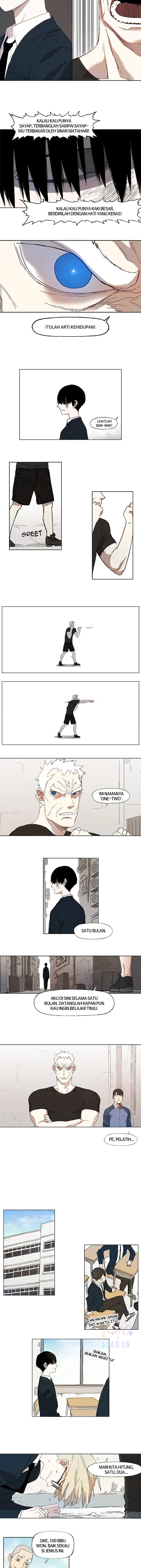 Read The Boxer ID Manga Online